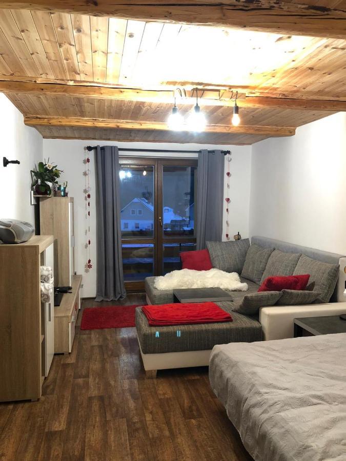 Apartman S Vyhledem Na Jezerni Stenu Železná Ruda Buitenkant foto