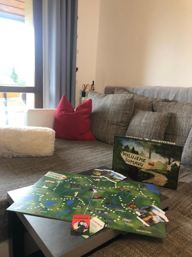 Apartman S Vyhledem Na Jezerni Stenu Železná Ruda Buitenkant foto