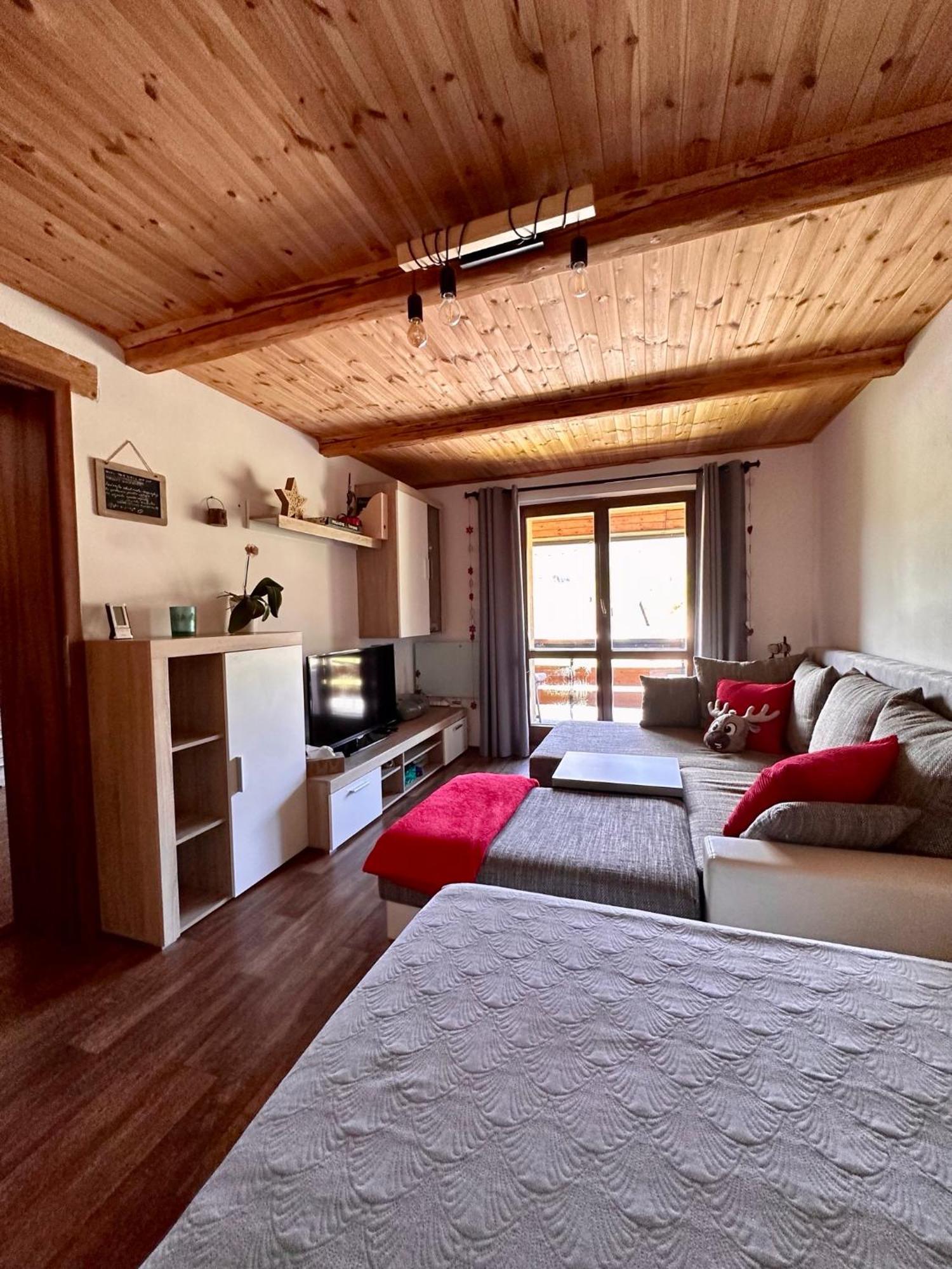 Apartman S Vyhledem Na Jezerni Stenu Železná Ruda Buitenkant foto